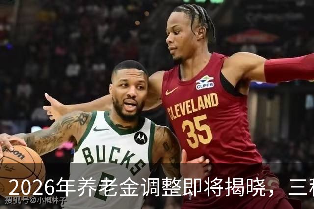 2026年养老金调整即将揭晓，三种可能情况需关注